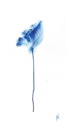 fleur bleue sur fond blanc en 5 coup de pinceaux et une dégoulinure